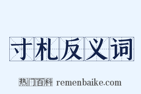 寸札反义词是什么意思的图片